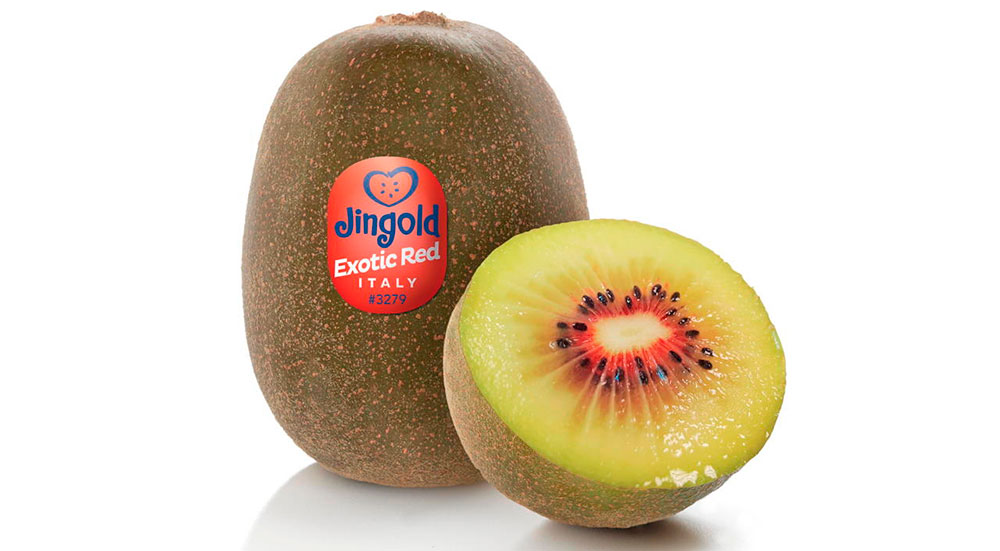 Kiwi Dong Hong