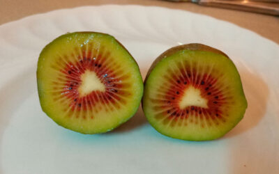 El kiwi rojo