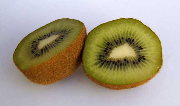 Frutos de kiwi verde