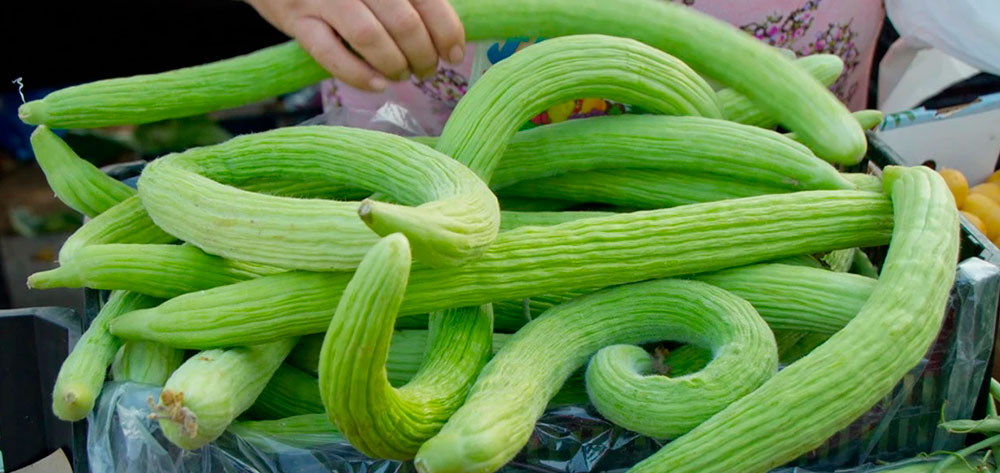 Pepino tipo armenio o pepino serpiente