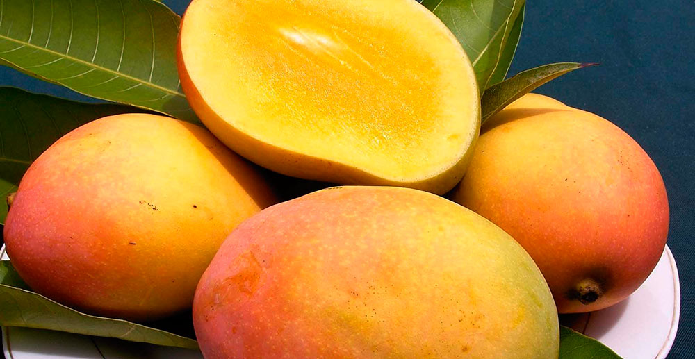 Frutos del mango