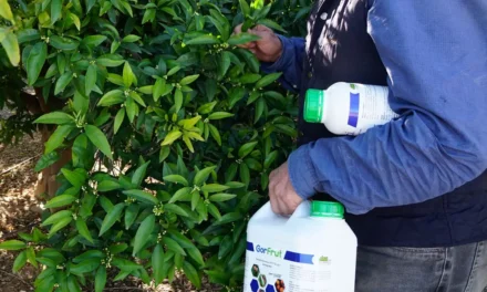 Jornada sobre cómo gestionar los envases vacíos