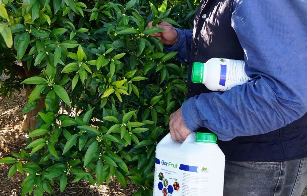 Jornada sobre cómo gestionar los envases vacíos