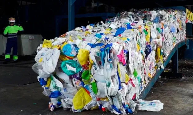 Gestores autorizados de residuos de envases