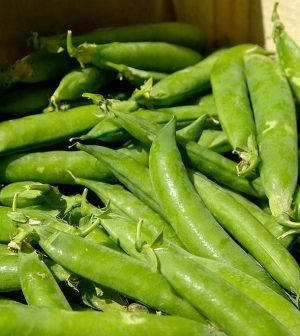 Frutos de guisantes