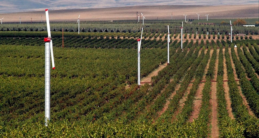 Heladas por inversión térmica