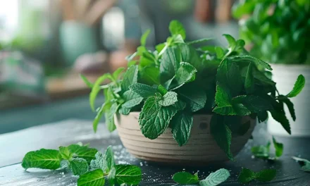 La menta como especia