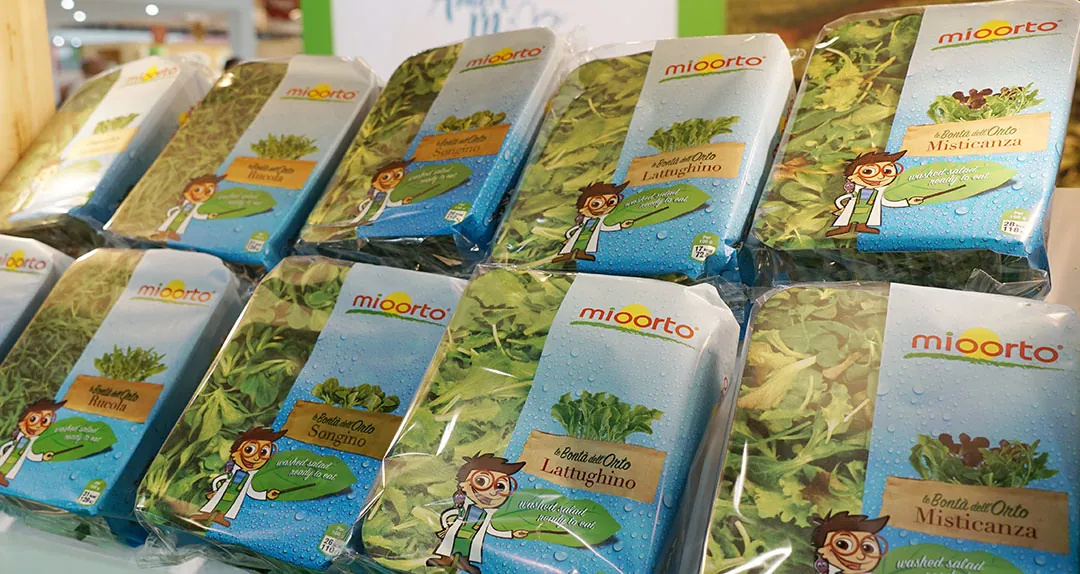 Hortalizas envasadas en cuarta gama