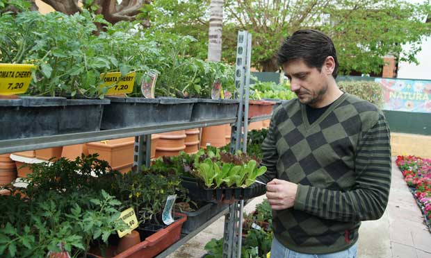 Fertilizantes y Fitosanitarios en el huerto urbano