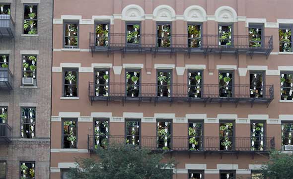 Windowfarms, las huertas urbanas