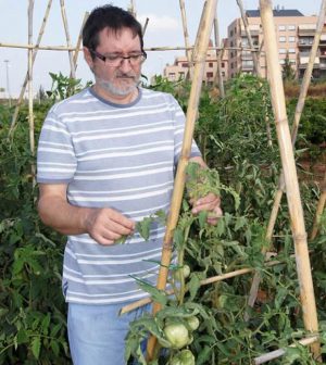 El huerto urbano de Fernando Cuenca