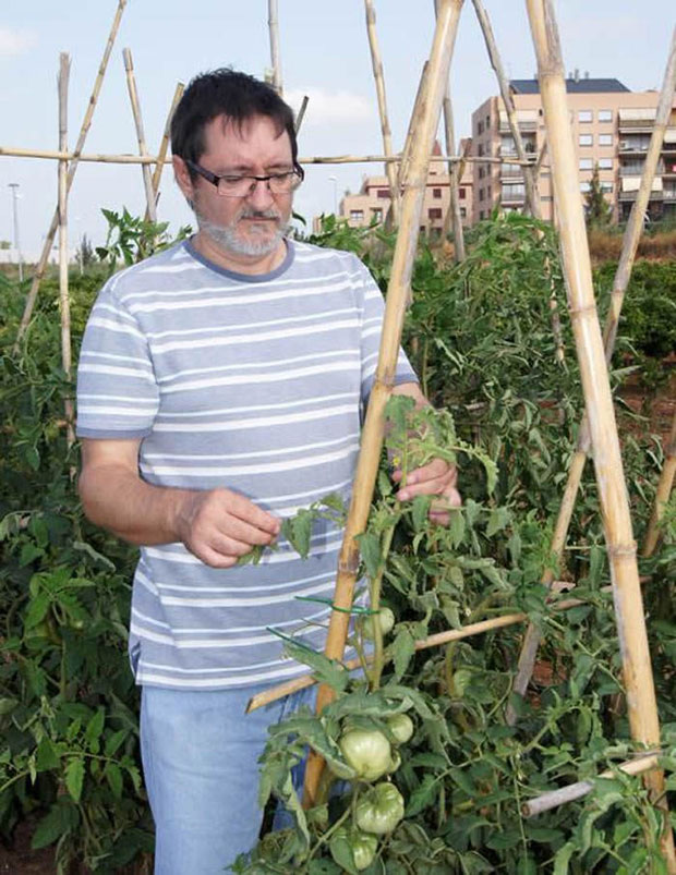 El huerto urbano de Fernando Cuenca