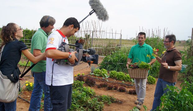 El huerto urbano de Fernando Cuenca