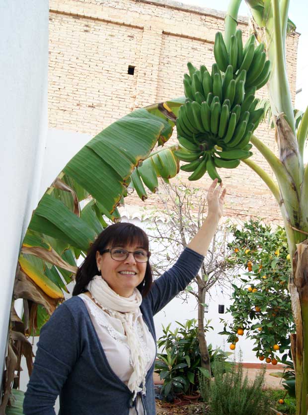 El huerto urbano de Mari Carmen Antequera