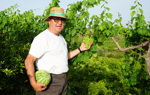 El huerto urbano de Vicent Tronchoni