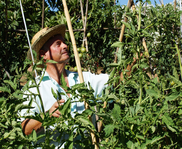 El huerto urbano de José Soler Salvador