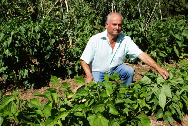 El huerto urbano de José Soler Salvador