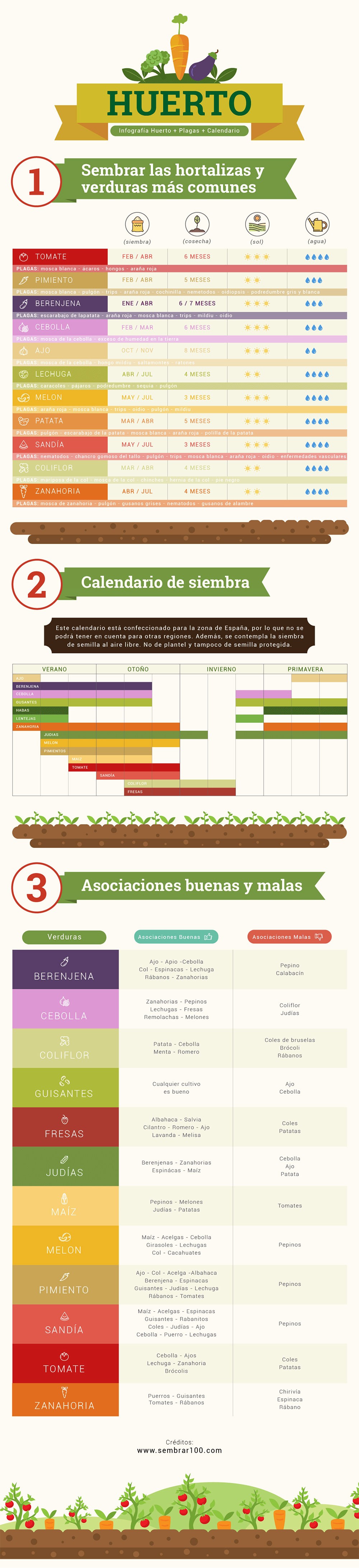 Infografía para empezar un huerto urbano