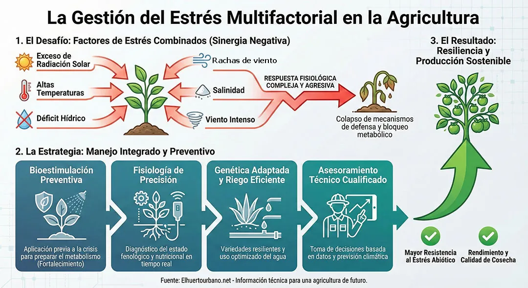 Infografía sobre la gestión del estrés multifactorial Infografía sobre la gestión del estrés multifactorial