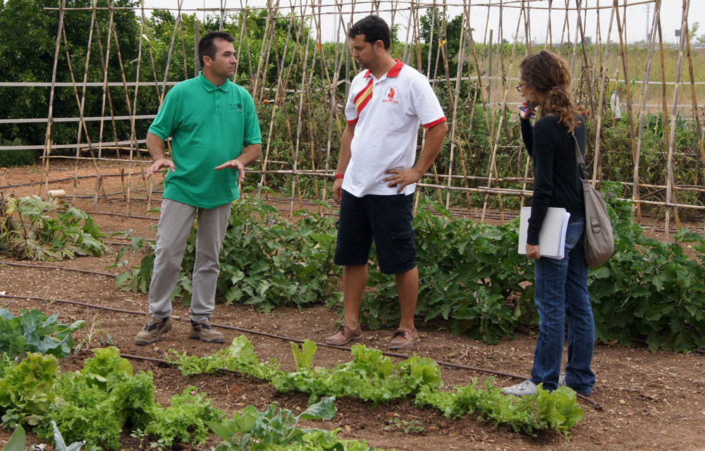 Informes técnicos para cultivos