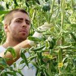 Cómo especializarse en la nueva agronomía sostenible