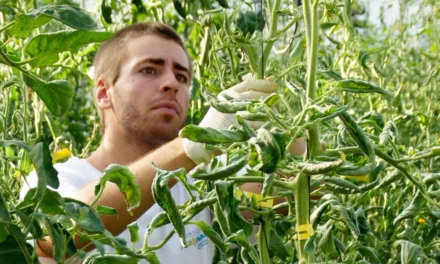 Cómo especializarse en la nueva agronomía sostenible