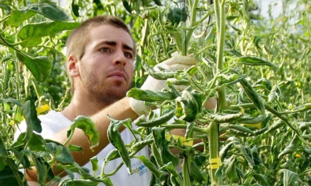 Cómo especializarse en la nueva agronomía sostenible