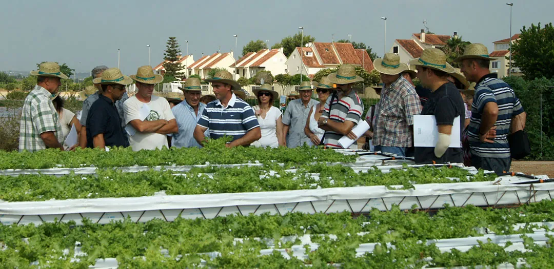 Ingeniero agrónomo visitando campos de ensayos al aire libre