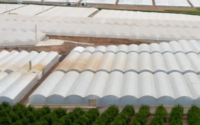 Glosario de siglas para definir los plásticos