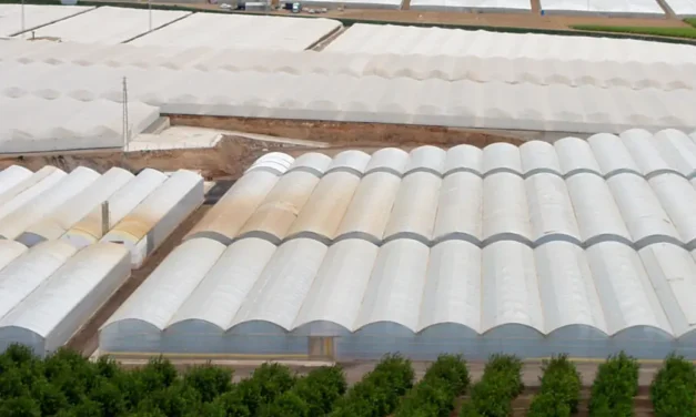 Glosario de siglas para definir los plásticos