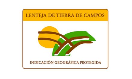 Lenteja de Tierra de Campos