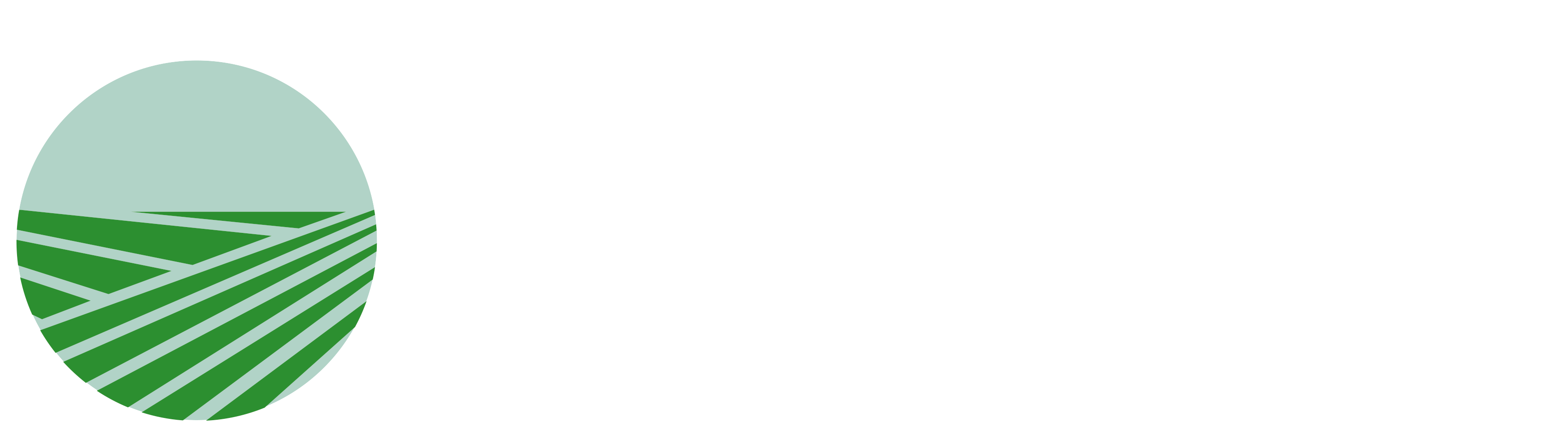 El Huerto Urbano