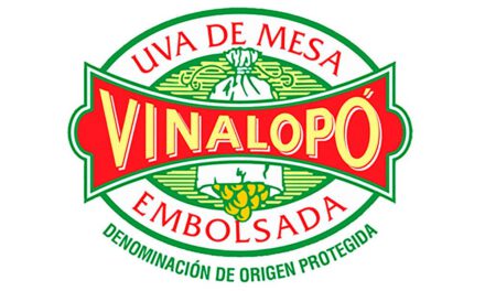 Uva de Mesa Embolsada del Vinalopó