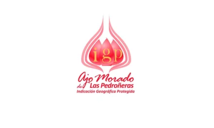 Ajo morado de las Pedroñeras