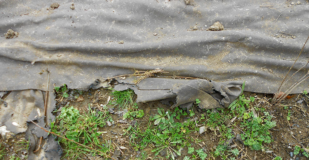 Manta antihierba biodegradable en el suelo