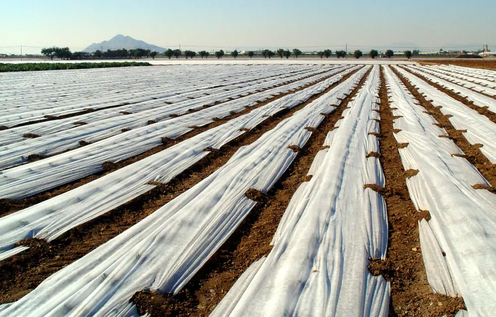 Mantas térmicas para cultivo