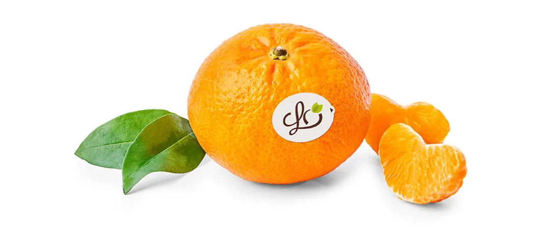 Marca de la variedad de mandarina Leanri