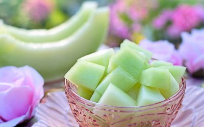 Informe técnico para el cultivo del melón