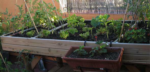 Mesas de cultivo para el huerto en casa