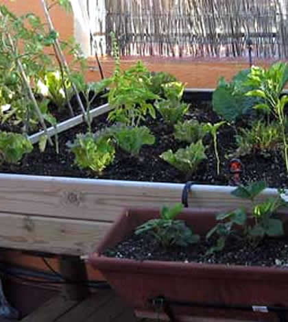 Mesas de cultivo para el huerto en casa