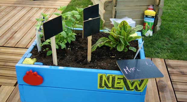 Nuevas mesas de cultivo para el huerto urbano