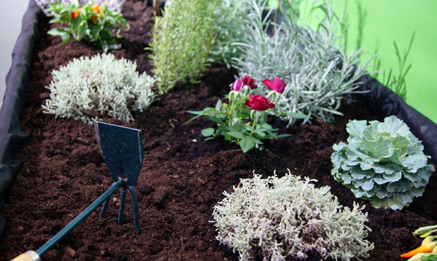 Mesa de cultivo para huertos urbanos