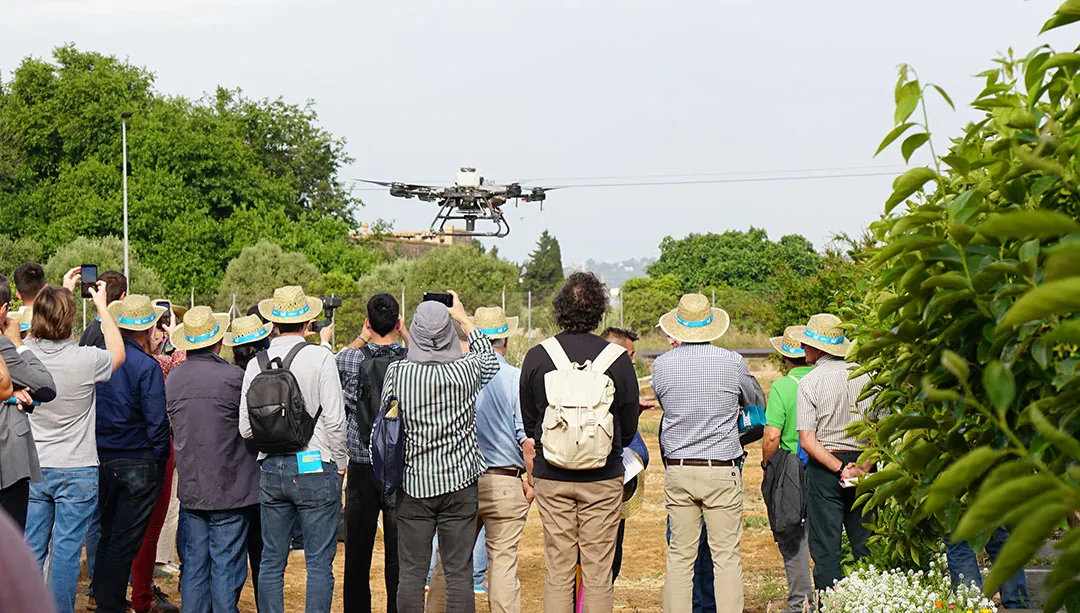 Muestra de aplicación de productos con dron en agricultura