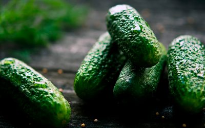 Informe técnico para el cultivo del pepino