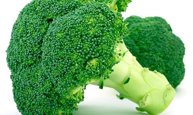 Informe técnico para el cultivo del brócoli