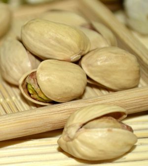 Portainjertos de pistachero
