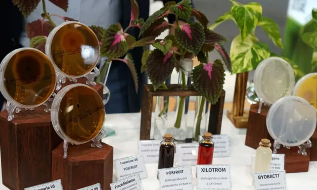 La agronutrición protagonista en Fruit Attraction 2024