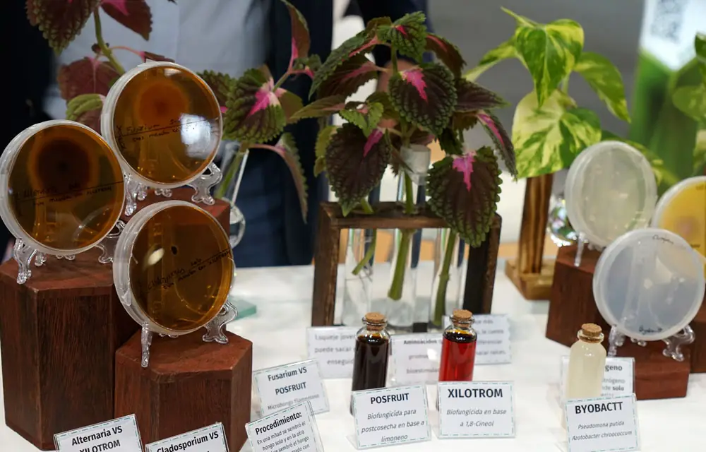 La agronutrición protagonista en Fruit Attraction 2024