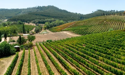 Zonas de cultivo de frutas y hortalizas en Italia