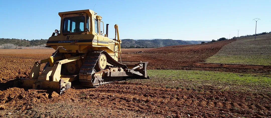 Preparación del campo para cultivo de trufas Preparación del campo para cultivo de trufas